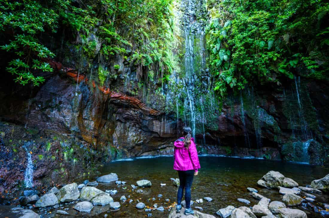 Guided hike to 25 Fontes Waterfall in Madeira image