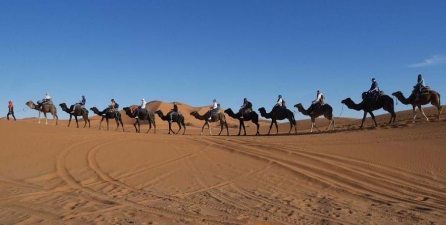 Sahara desert trek on camels
