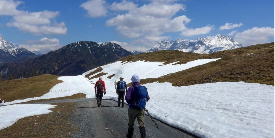 Experience walking holidays in the Austrian Alps