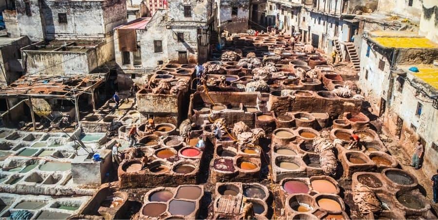 Guided tour of Fez tanneries