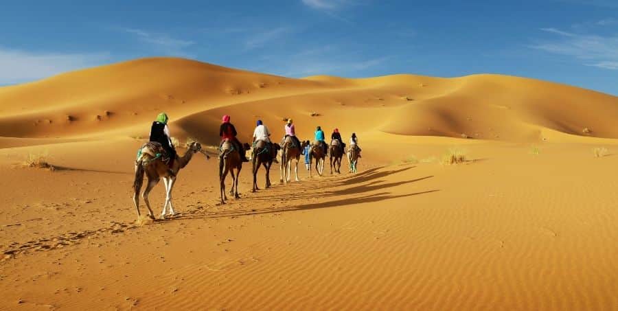 Camel trekking in the Sahara desert on Morocco tour