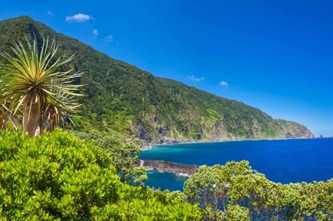 Best Madeira coastal walks image
