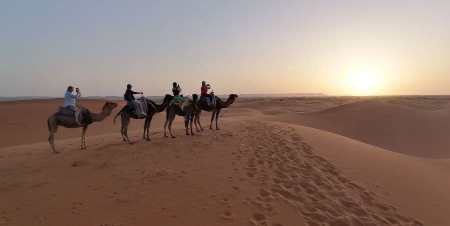 Camel trek through Sahara Desert