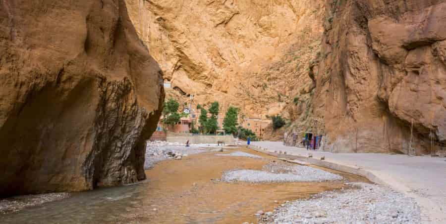 Guided excursion to Todra Gorge