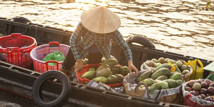 Guided tour of the Mekong Delta