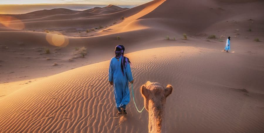 Camping in Sahara Desert